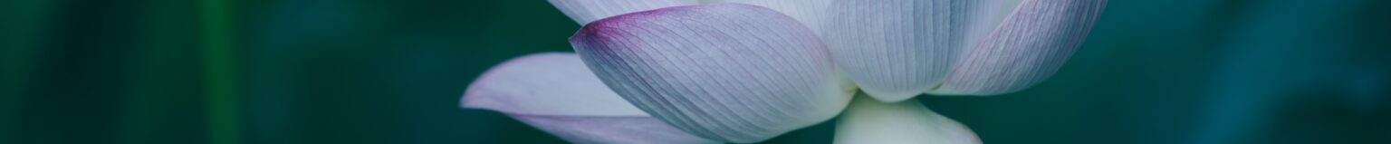 Holly Morgan, M.Ed 1