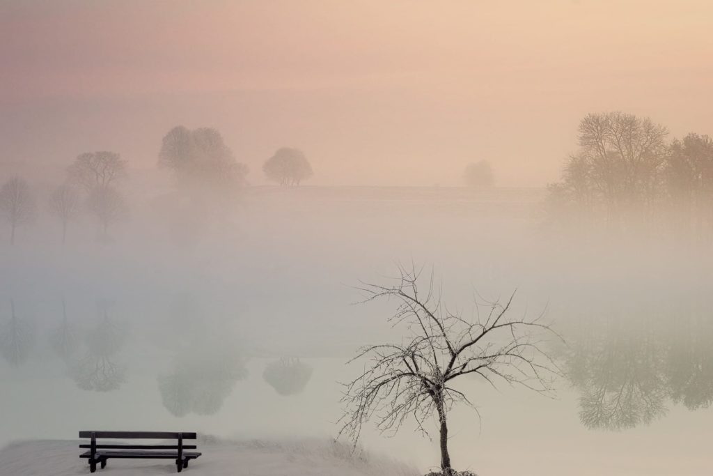 Virtual Therapy Vancouver & Coquitlam 11